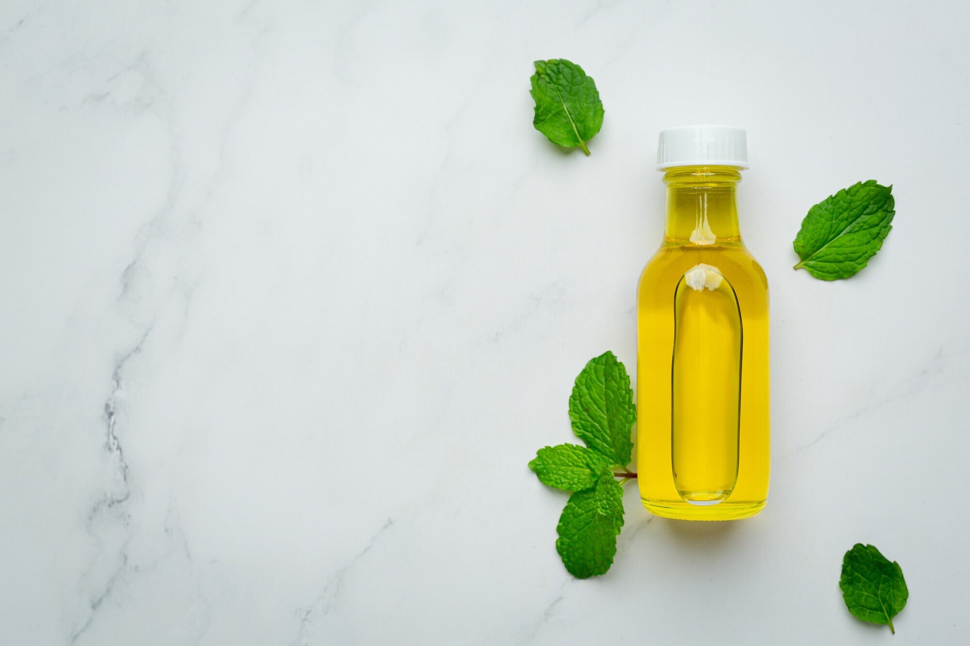 Bahar Mevsiminde Limon Otu Neden Tercih Edilmeli?