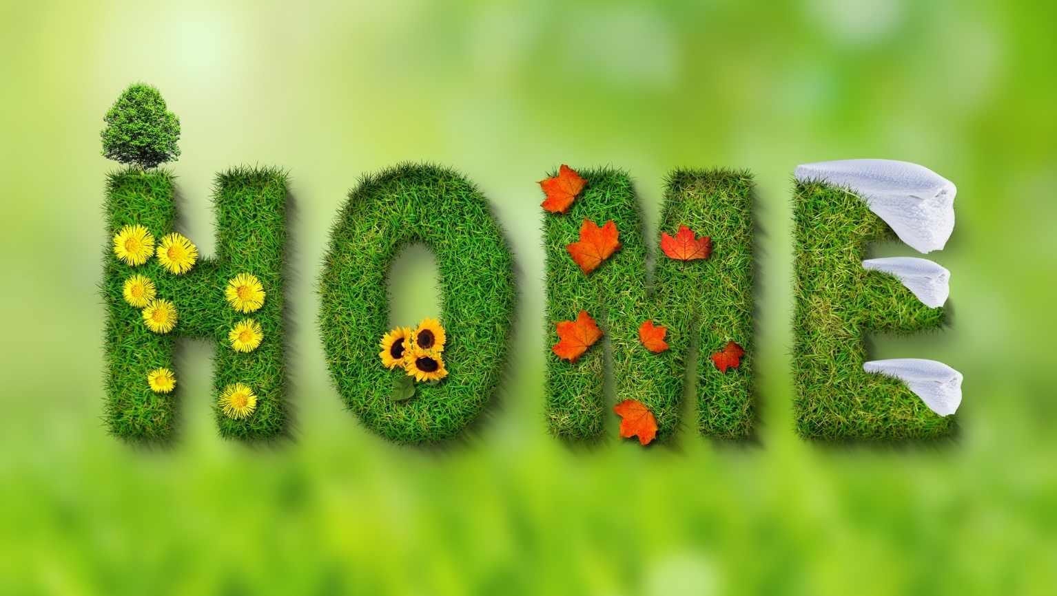 Uçucu Yağlar ile Doğal Ev Temizliği Rehberi!