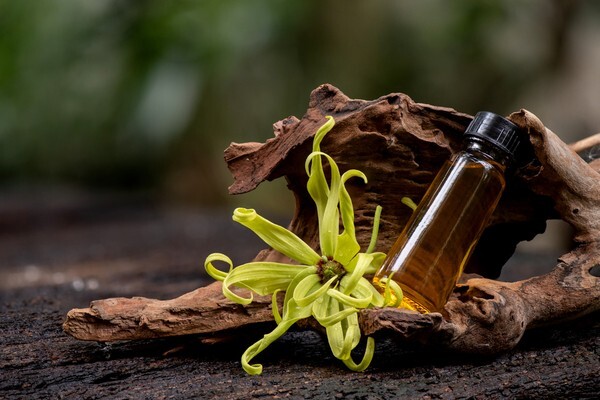 Ylang Ylang Yağı Faydaları Nelerdir?