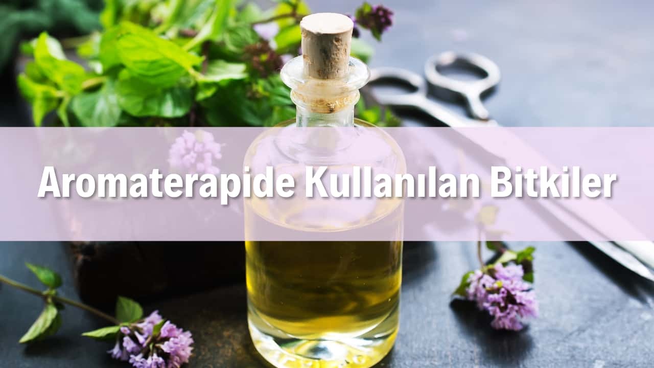 AROMATERAPİDE KULLANILAN BİTKİLER