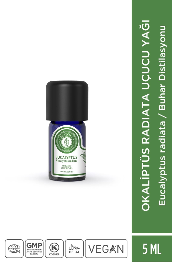 Okaliptus radiata Uçucu Yağı - 5ml - Arotolia